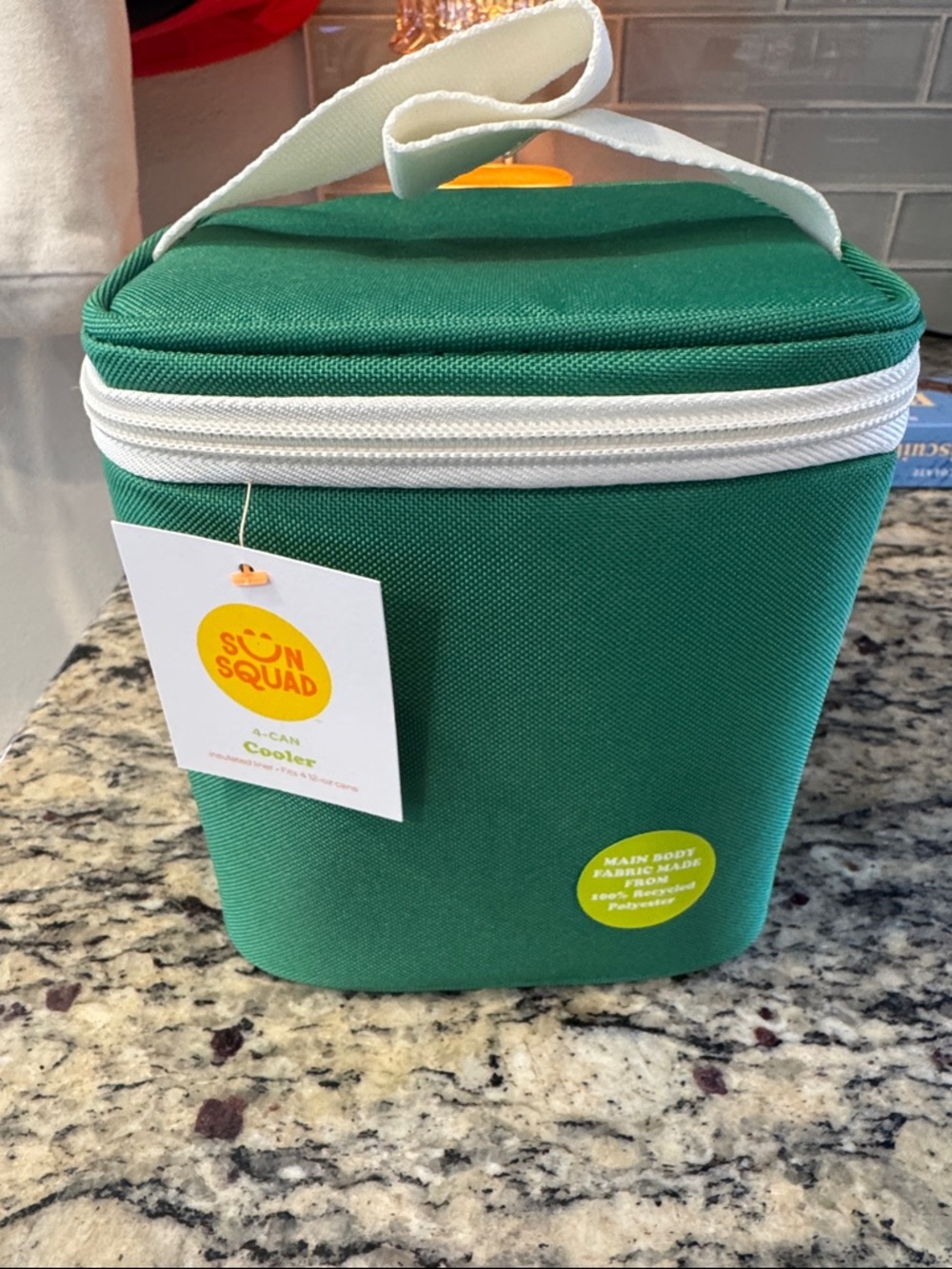 Green Insulated Lunch Cooler Bag
